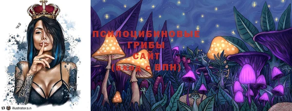 эйфоретик Алзамай