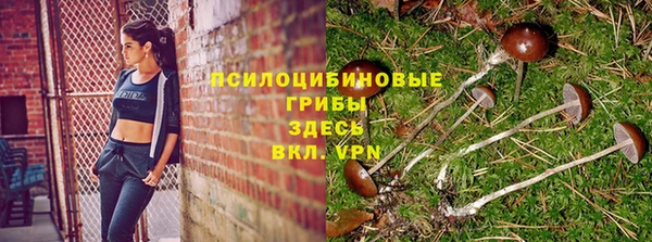 эйфоретик Алзамай