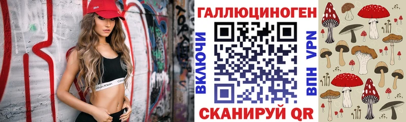 Псилоцибиновые грибы ЛСД  даркнет сайт  Кохма 